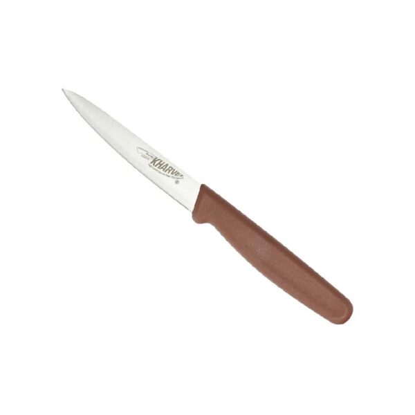 Paring Knife 100mm