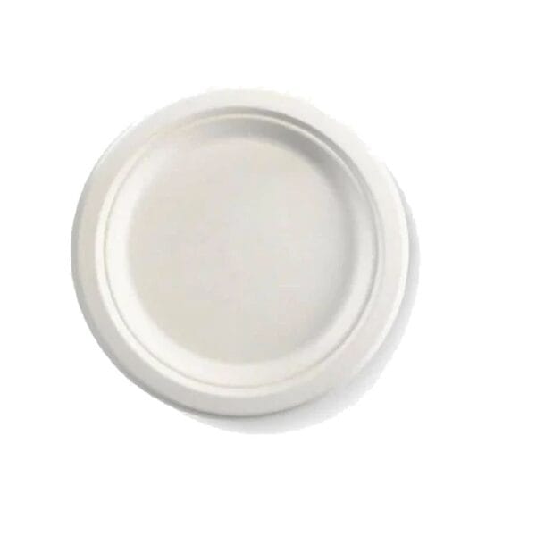 Dinner Plate 310mm (12") BioCane White Plant Fibre