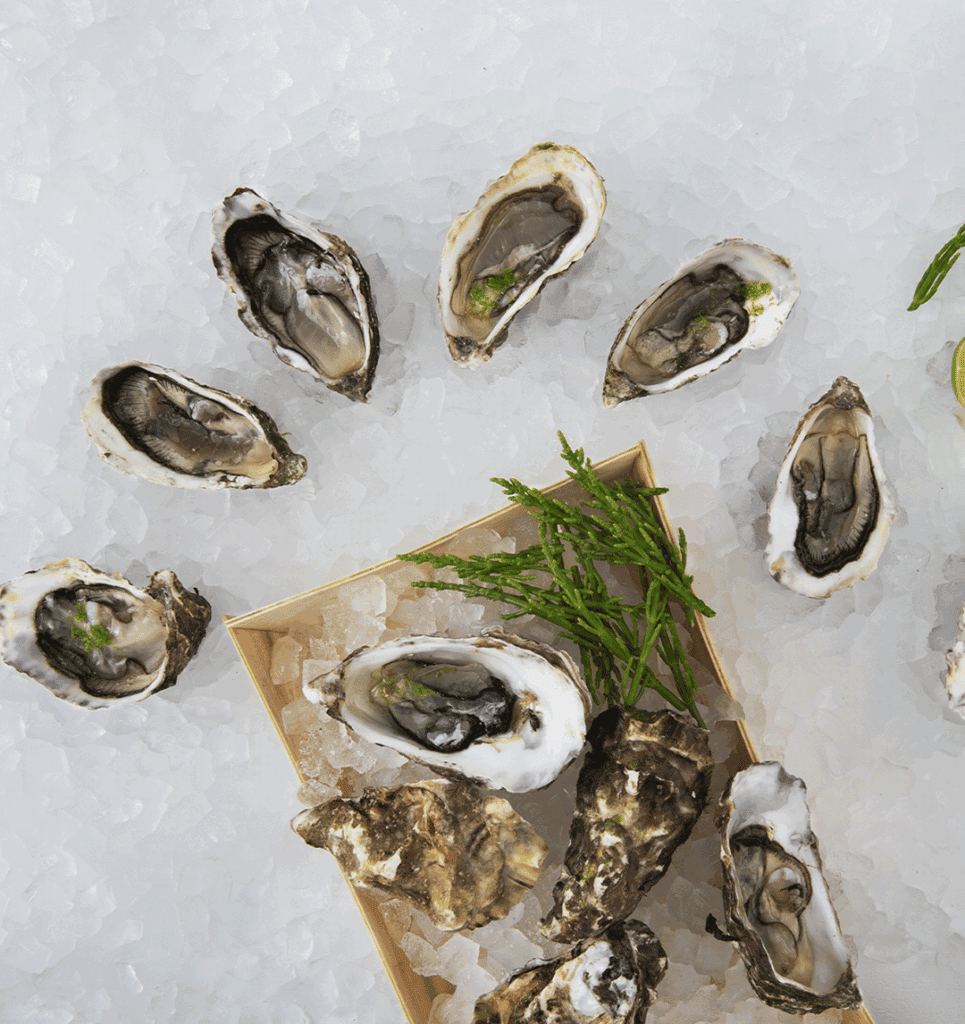 Assorted raw oysters on crushed ice, arranged around a small wooden box with greens as garnish.