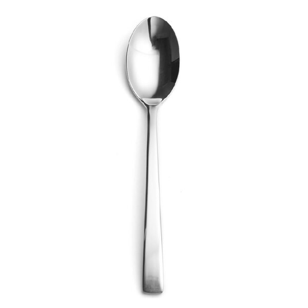 Dessert Spoon 188mm Polished Finish S/S Capri