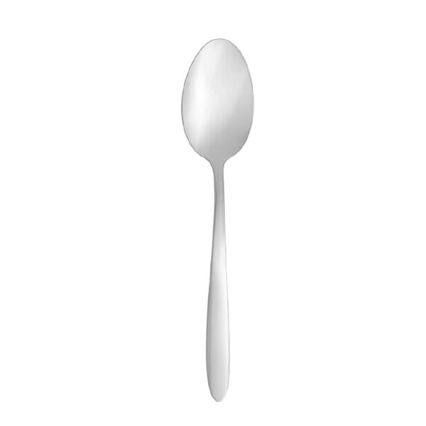 Dessert Spoon 150mm Mirror Polished Finish S/S Everest