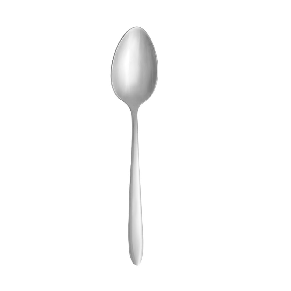 Table Spoon 200mm Mirror Polished Finish S/S Everest