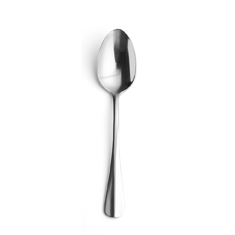 Table Spoon 210mm Mirror Polished Finish S/S Hudson