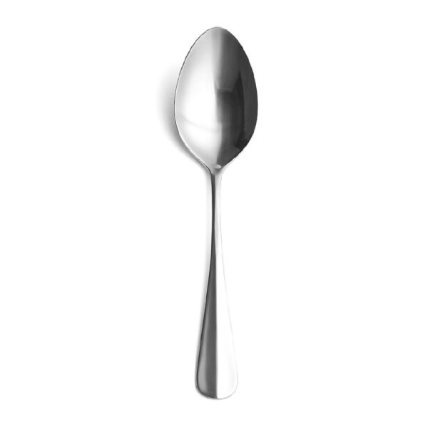 Serving Spoon 275mm Mirror Polished Finish S/S Hudson