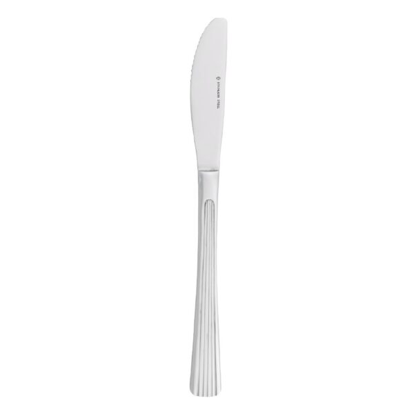 KHXC610 Table Knife 210mm Mirror Polished Finish S/S Carlton