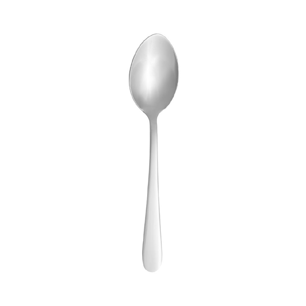 Dessert Spoon 140mm Polished Finish S/S Rye